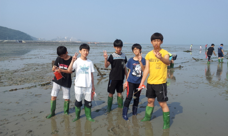2012. 6. 18 ~ 6. 19.대전두리중(해양체험활동) 이미지6