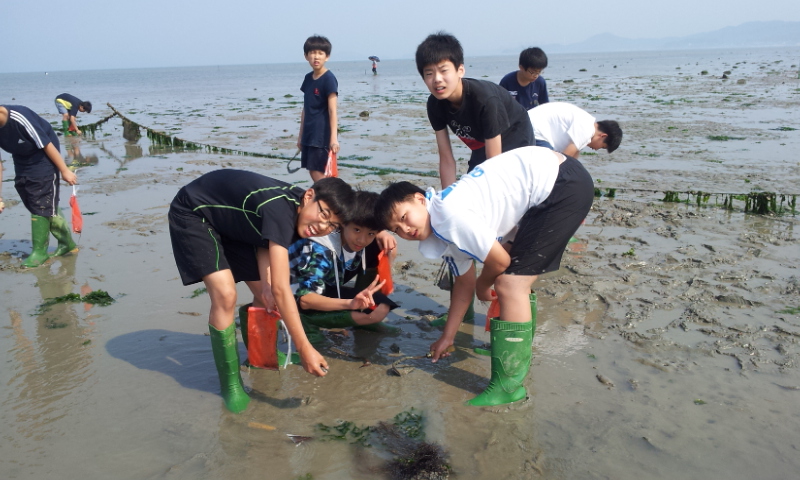 2012. 6. 18 ~ 6. 19.대전두리중(해양체험활동) 이미지7